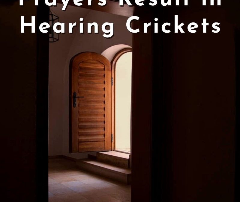 8 Reasons Our Prayers Result in Hearing Crickets